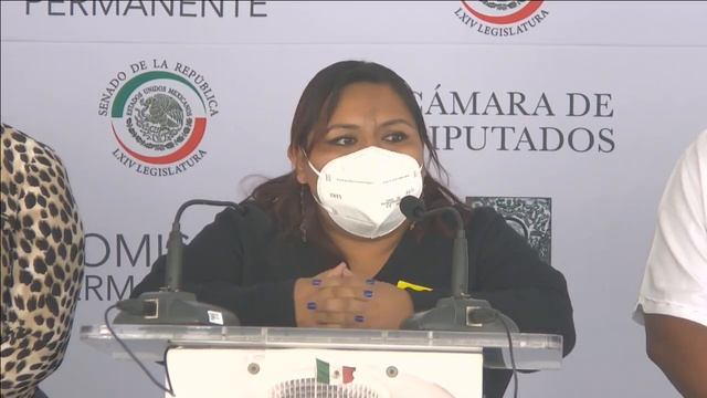Conferencia de prensa de la senadora Nestora Salgado (Morena), del 18 de agosto de 2021 смотреть онлайн