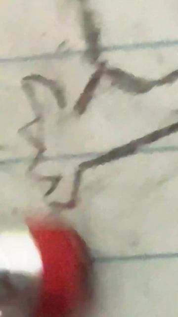 The suffering of drawing a hand #funny #drawing #art #relatable смотреть онлайн