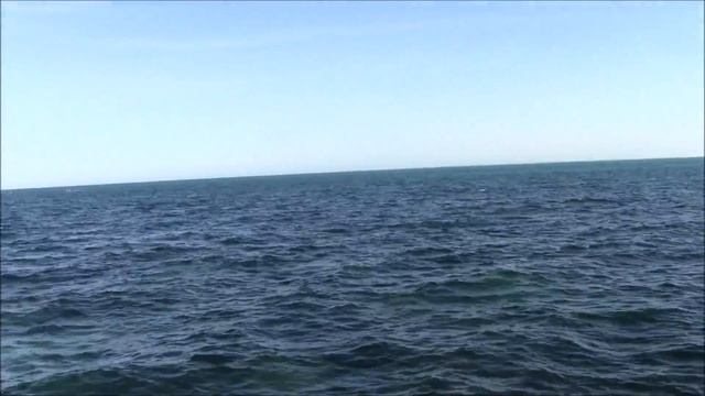 Тунис. El Mouradi Djerba Menzel 4*. Обзор отеля. смотреть онлайн