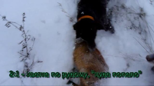 Мисливство~1 смотреть онлайн