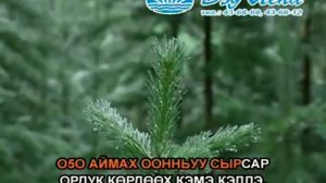 Сахалыы караоке 5 06