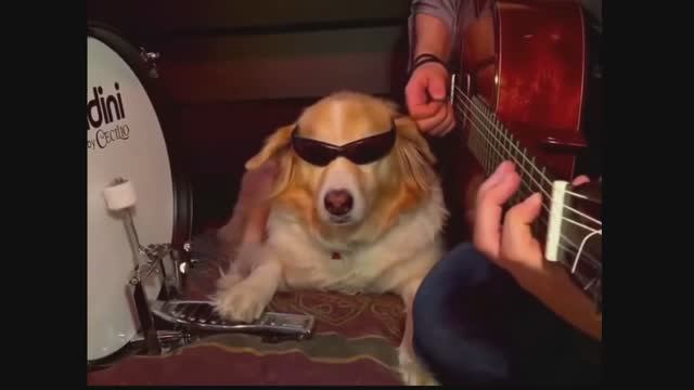 ЛА ЛА ЛА ЛА ЛА