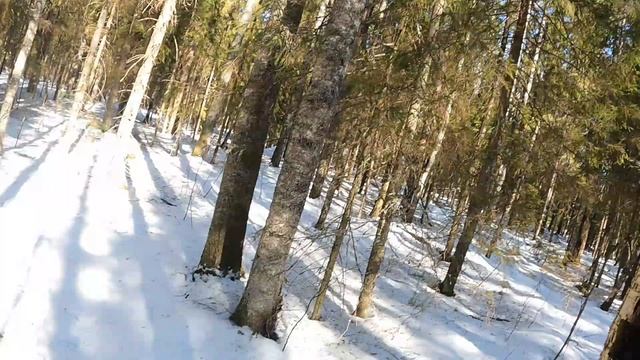 ДЕРЕВЕНСКИЙ ЗАРАБОТОК НА СБОРЕ ЧАГИ. ДЕНЬГИ С ДЕРЕВЬЕВ. смотреть онлайн