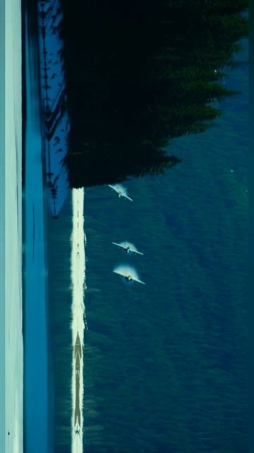 HABIBI (Cobra spin-topgun Mavericks) смотреть онлайн