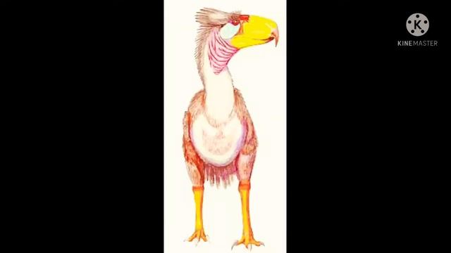 Reconstruction Of A Terro Bird Kelenken Sound Effect