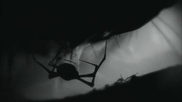 TJ PLAYS: LIMBO (1 of 5) смотреть онлайн