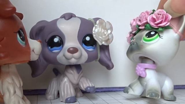 LPS сериал: Выбрать.Удалить 1 episode смотреть онлайн