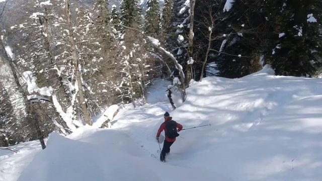 Glola, Racha | Georgia (part 3) | Dumbo goes east смотреть онлайн