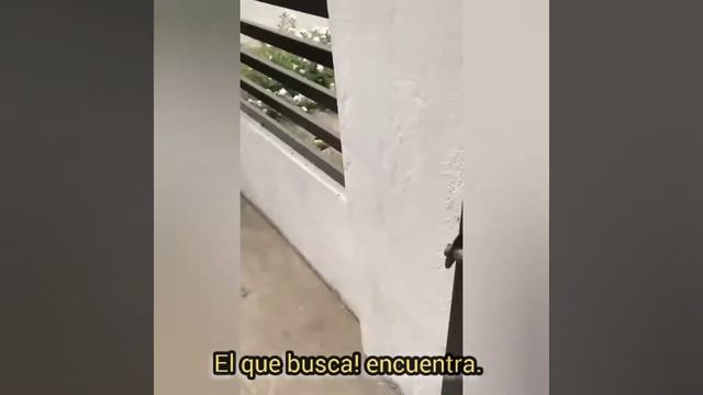 infieles descubiertos 4 смотреть онлайн