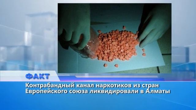 Факт (Рика ТВ) от 14 ноября 2019 года смотреть онлайн