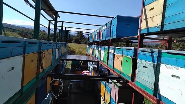 Пчелоприцеп и электро захват смотреть онлайн