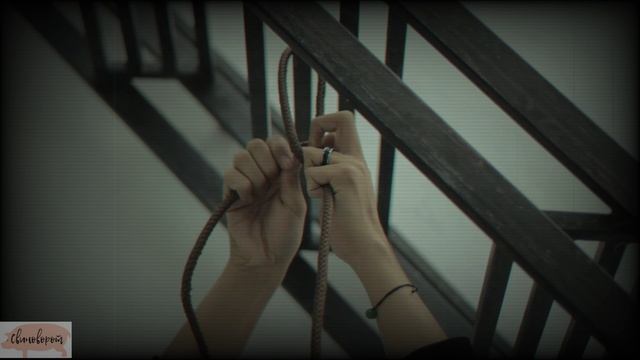 Ботаника для героев (Botany For Heroes)