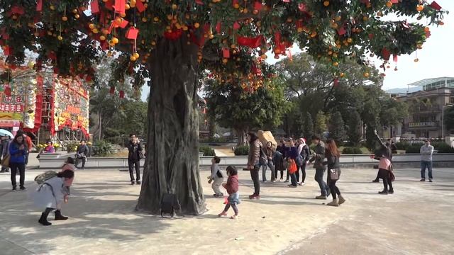 The Lam Tsuen Wishing Tree Hong Kong смотреть онлайн