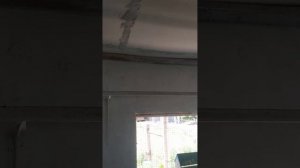 Венгерские голуби. Жизнь и быт голубей с Венгрии. Дериши