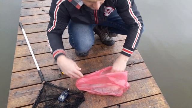 Пруд и рыбалка. Карп на 1 кг и цветной карась Комета.