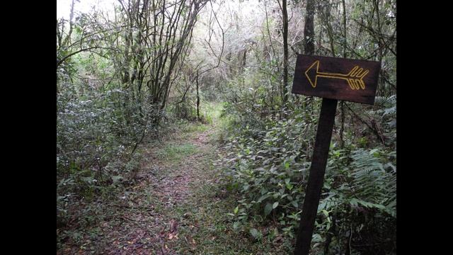 Natur bewahren, ohne sie zu zerstören смотреть онлайн