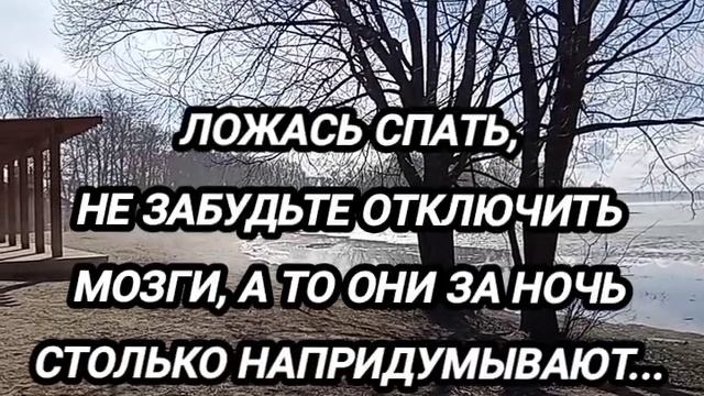 1000113094.mp4 Анекдоты для хорошего настроения смотреть онлайн