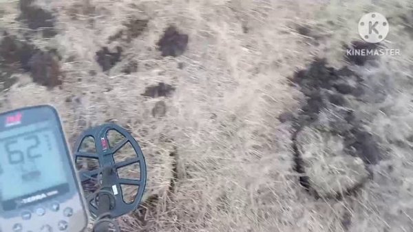 Распаковка, тест и первый выход с Minelab X Terra Elite.