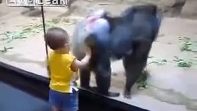 Приколы с детьми! Обезяна и ребёнок! смотреть онлайн