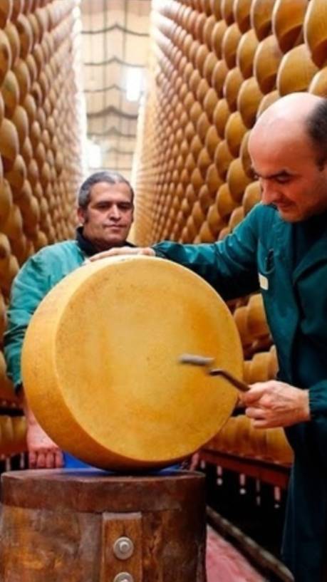 В Италии есть сырный банк смотреть онлайн