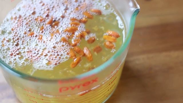 [為食派] 杞子桂花糕 Wolfberry and osmanthus jelly смотреть онлайн