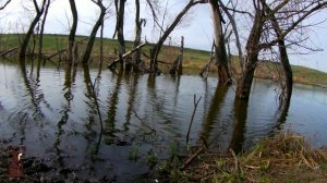 Весенняя рыбалка Отлично отловились по карасю В поплавочке есть свой кайф!