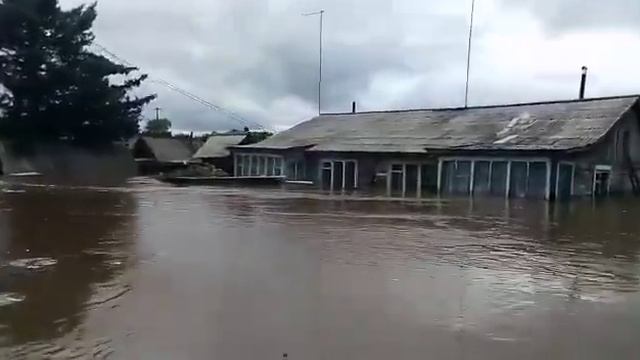 Амурская область 2019г. смотреть онлайн