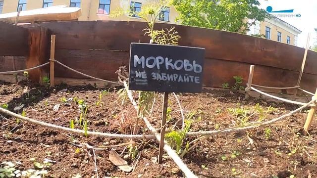 Огородная жизнь в большом городе — на подоконниках и в клумбах смотреть онлайн