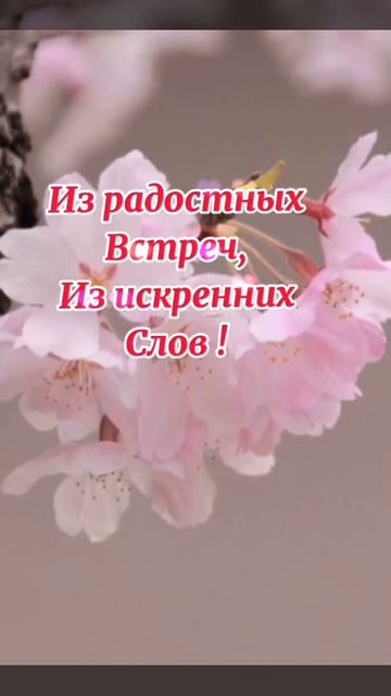 Доброе утро! Хорошего дня и прекрасного настроения! смотреть онлайн