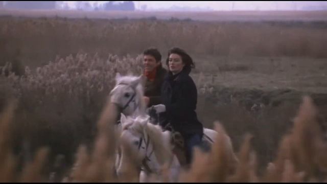 Mareux - Roses (Tradução)