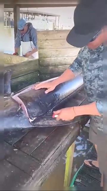 big size fish cutting 😲#short #shortvideo #youtubeshort #firstshortvideo смотреть онлайн