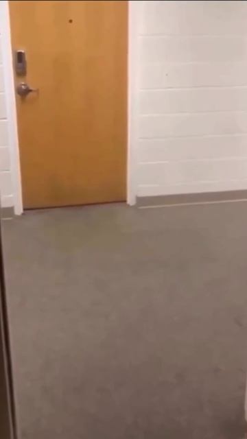 когда в рейде начинается "Ю НОУ?" #memes #worldofwarcraft смотреть онлайн