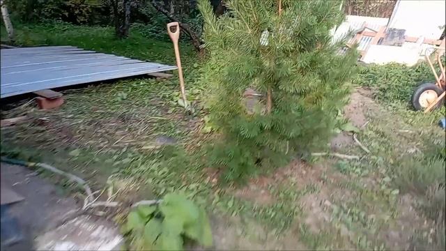 Покраска вагонки. Сима вкушает кукурузу. смотреть онлайн