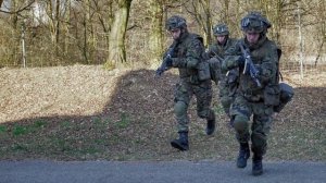 Swiss Army (Swiss Armed Forces)