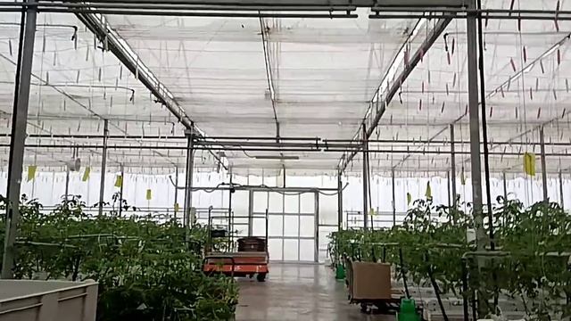 Ну, и как моя рабочая неделя прошла? смотреть онлайн