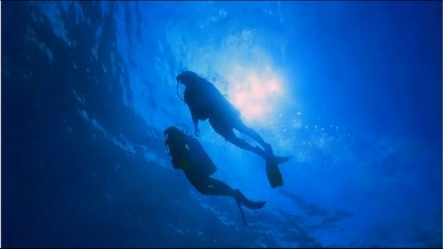 😴 ASMR 1 Hour Scuba Diving Sounds Underwater for Relaxing, Sleeping.by muszic смотреть онлайн