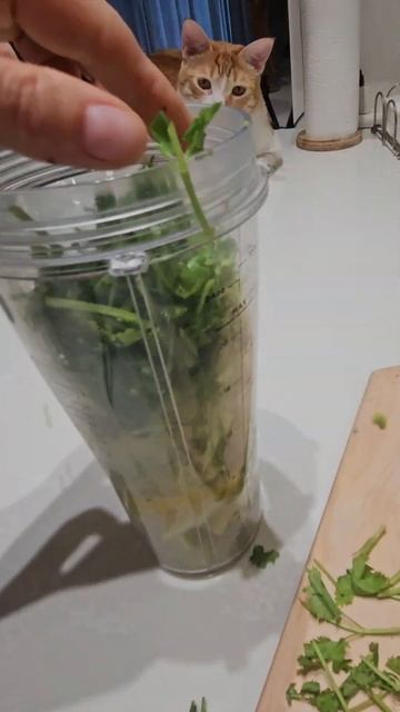 Готовим полезный зелёный смузи за пару минут 🥬🥬🥬 смотреть онлайн