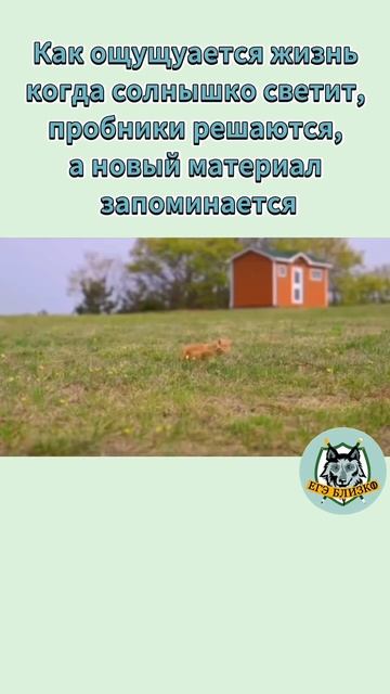 А какое у вас настроение в такие дни?