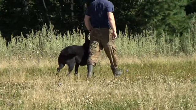 00100 смотреть онлайн