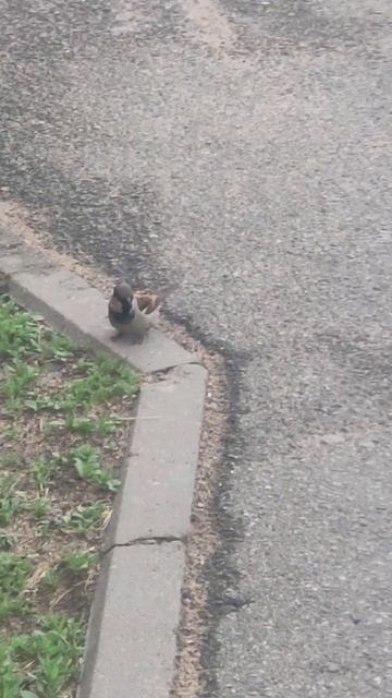 3 июня 2024 г. смотреть онлайн