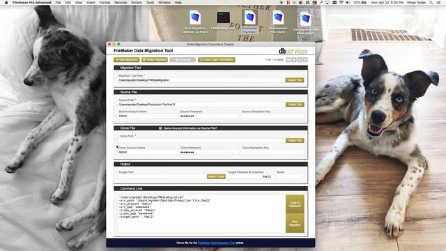 FM Data Migration Tool смотреть онлайн