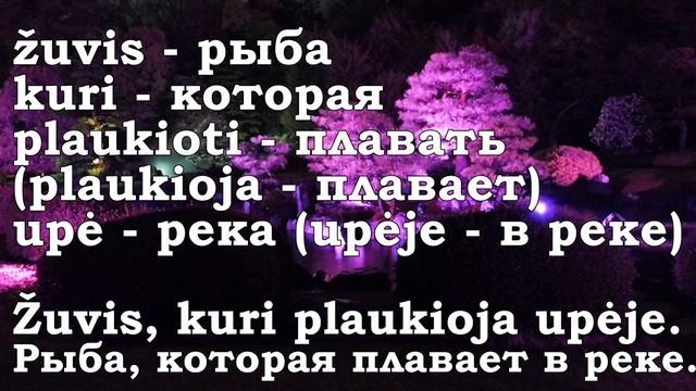 Урок 00048. Kuris - который, kuri - которая. Уроки литовского языка. смотреть онлайн