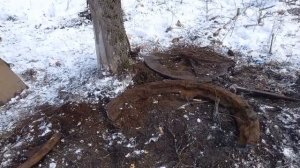 Находка напарника сделала этот КоП!!!