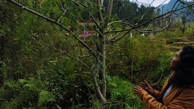 Himachal Apple Vlog ! Not an Apple Season! But luckily there was a tree which gave us lot of Apples смотреть онлайн