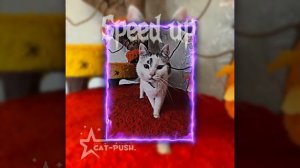 "Кошки-Мышки"@anykadavaika 💗в стиле Speed up💗💋#анукадавайка #Мурка#cat #speedup