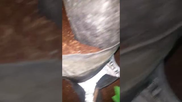 Clones x4 kahuna cross buba gift x4 gorilla zkittlez x8critical смотреть онлайн