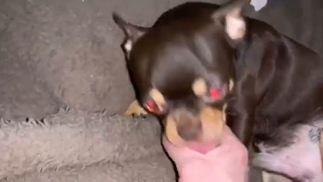 Всем спокойной ночи и самых добрых снов. смотреть онлайн