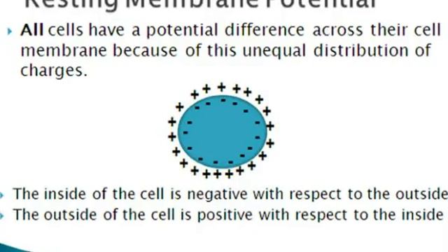 Biological Sciences: Ions and RMP смотреть онлайн