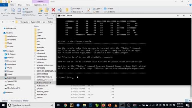 Installation of Flutter on Windows 10 смотреть онлайн