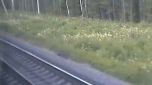 Прибытие на ст.Кизема